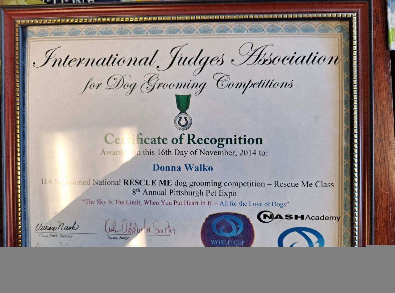  Full Service Grooming