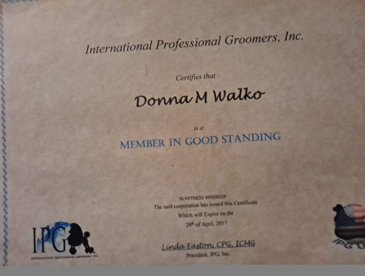 Full Service Grooming