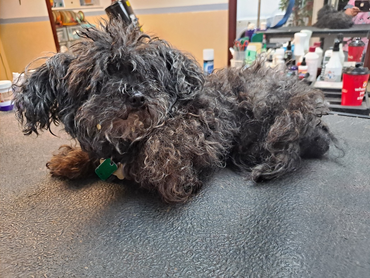 Oakmont Medicated Baths & Skin Relief