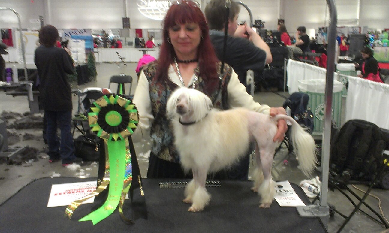 Monroeville Full Service Grooming