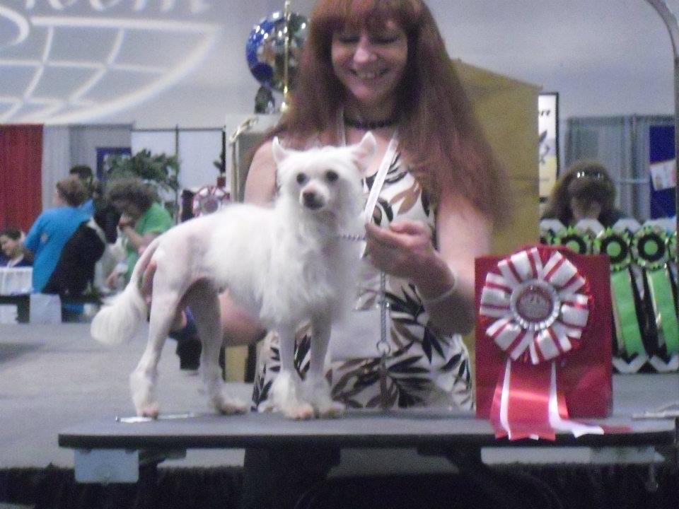 Full Service Grooming