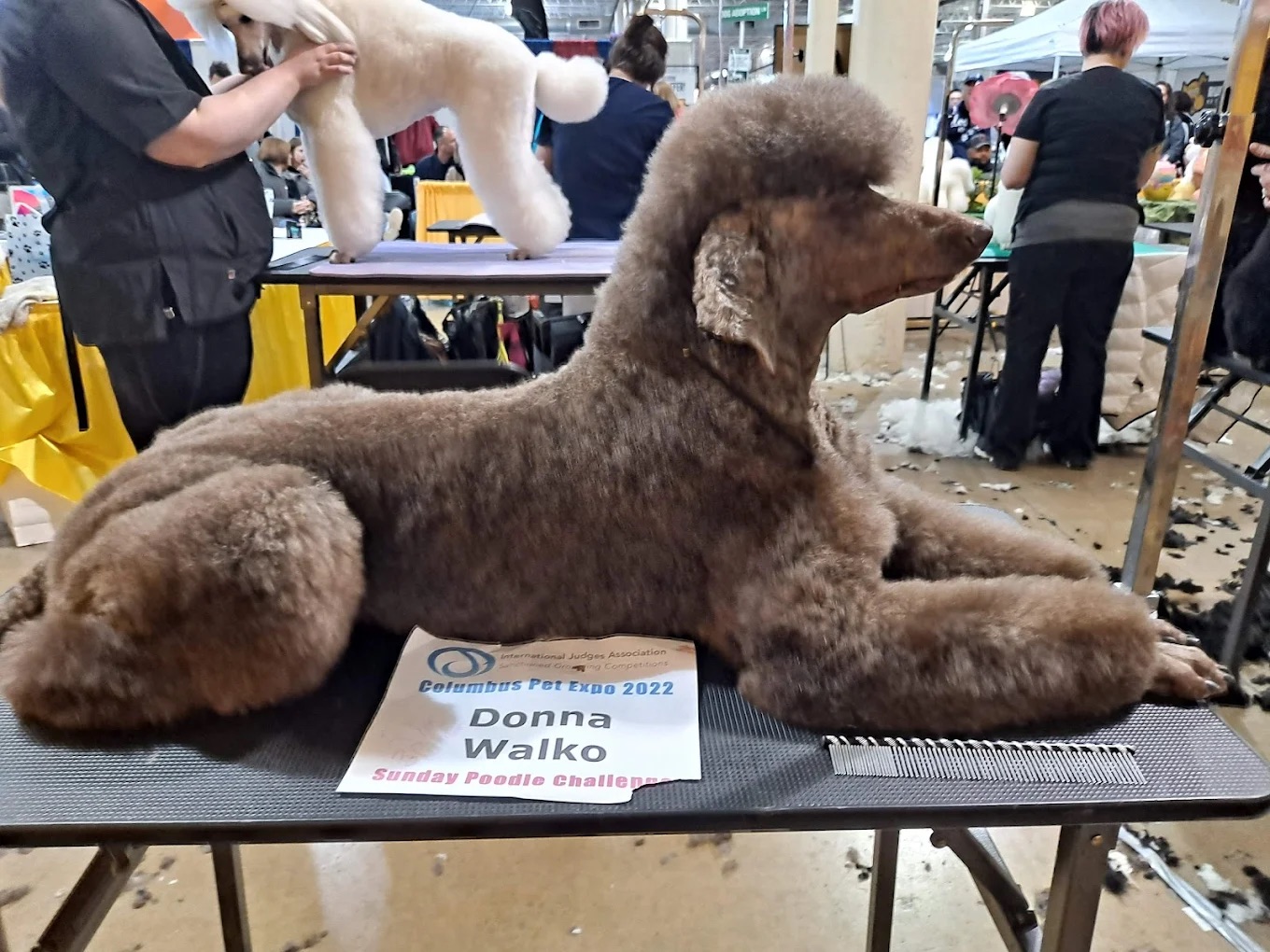 Oakmont Spa & Wellness Packages