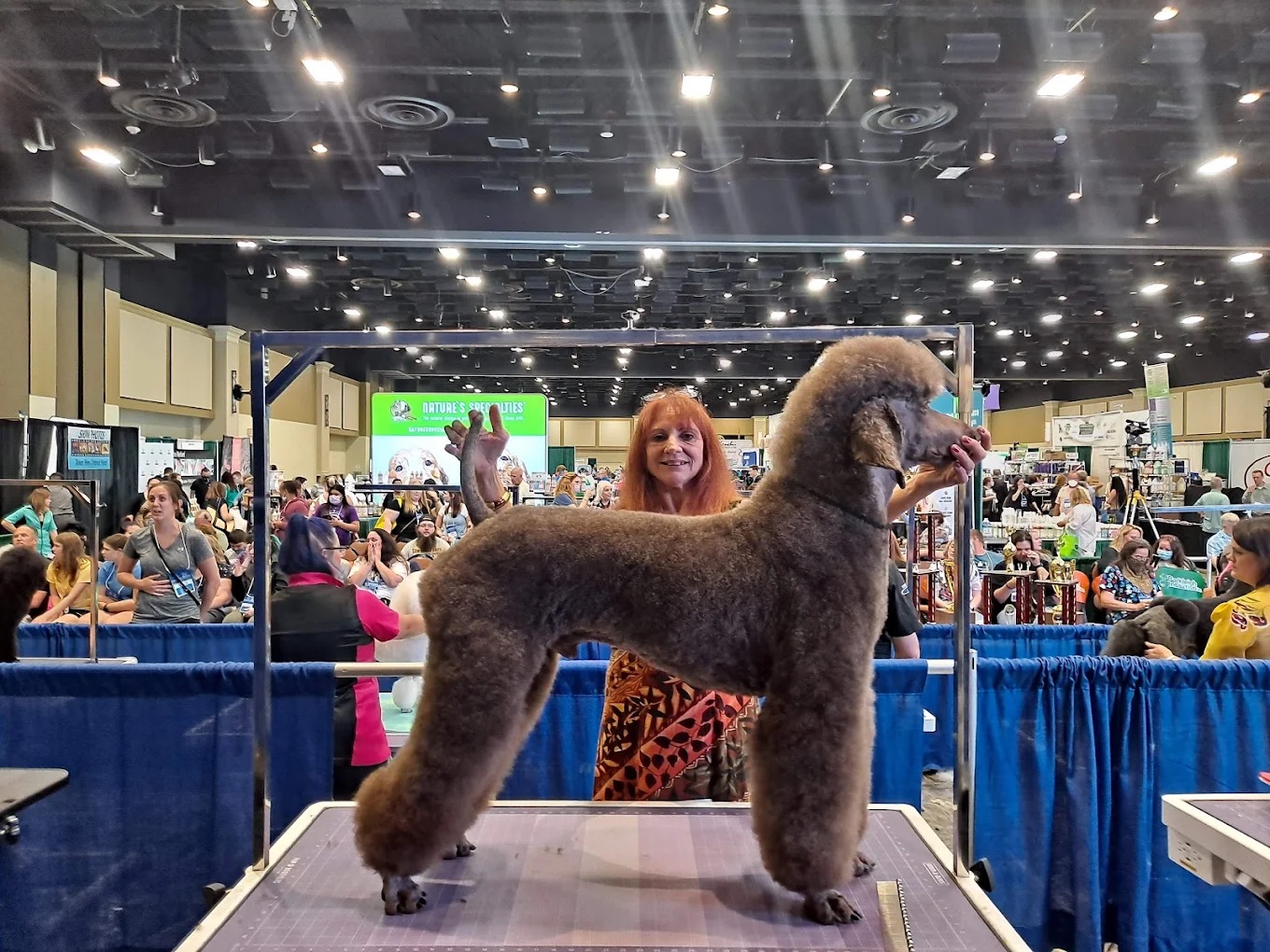 Shadyside Spa & Wellness Packages