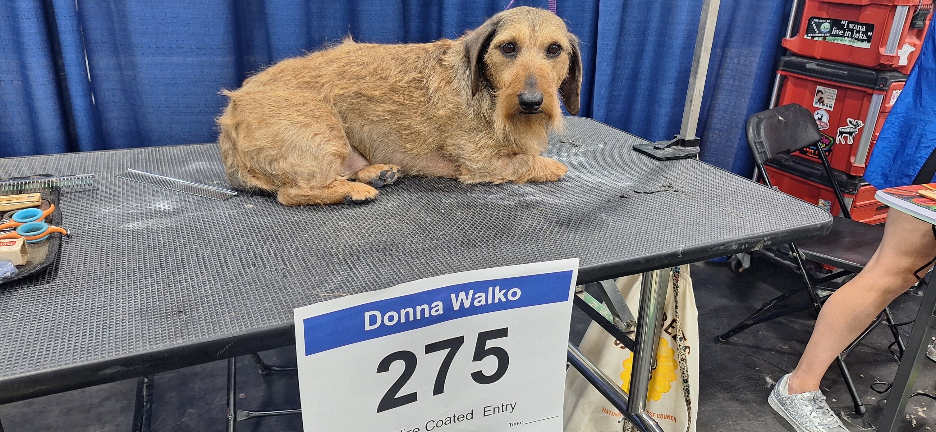 Handstripping & Carding