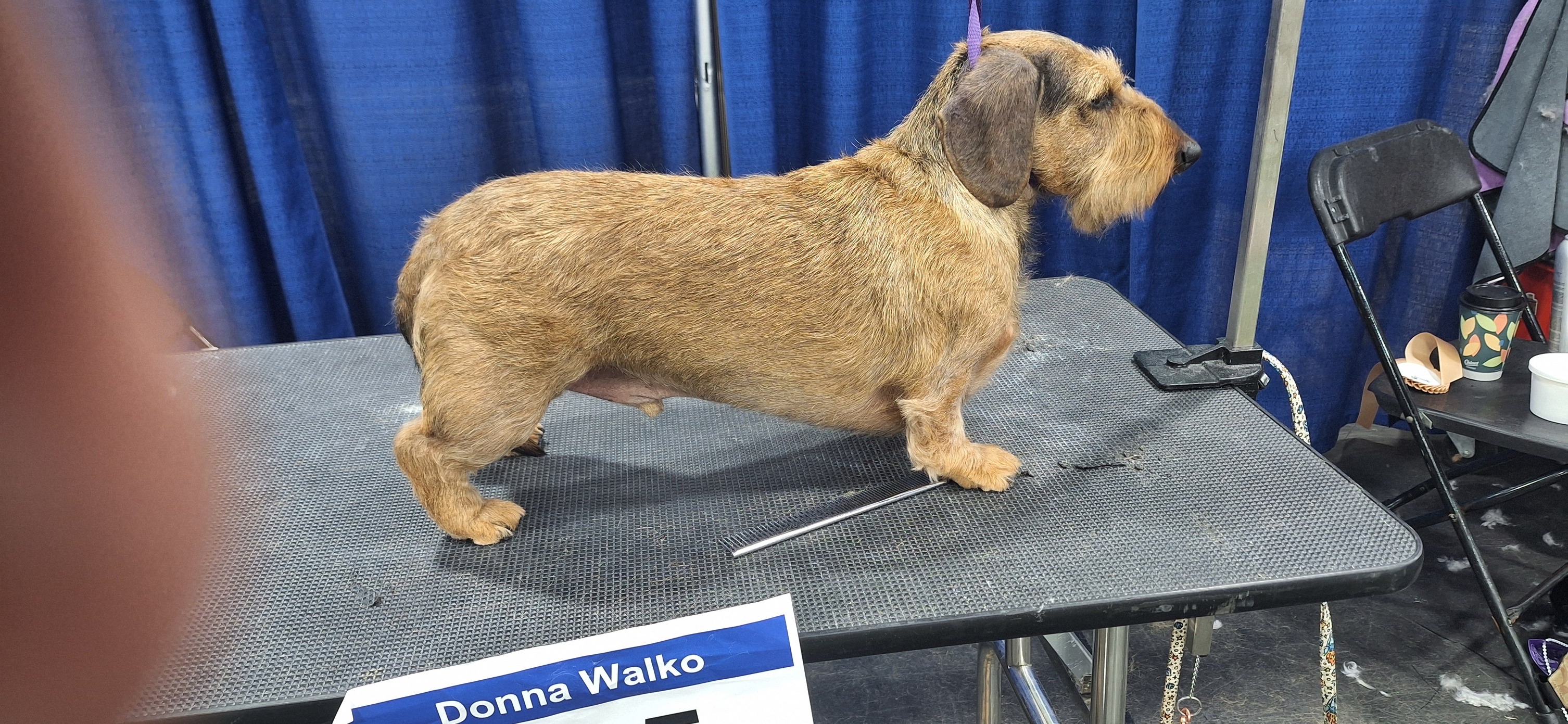 Oakmont Handstripping & Carding