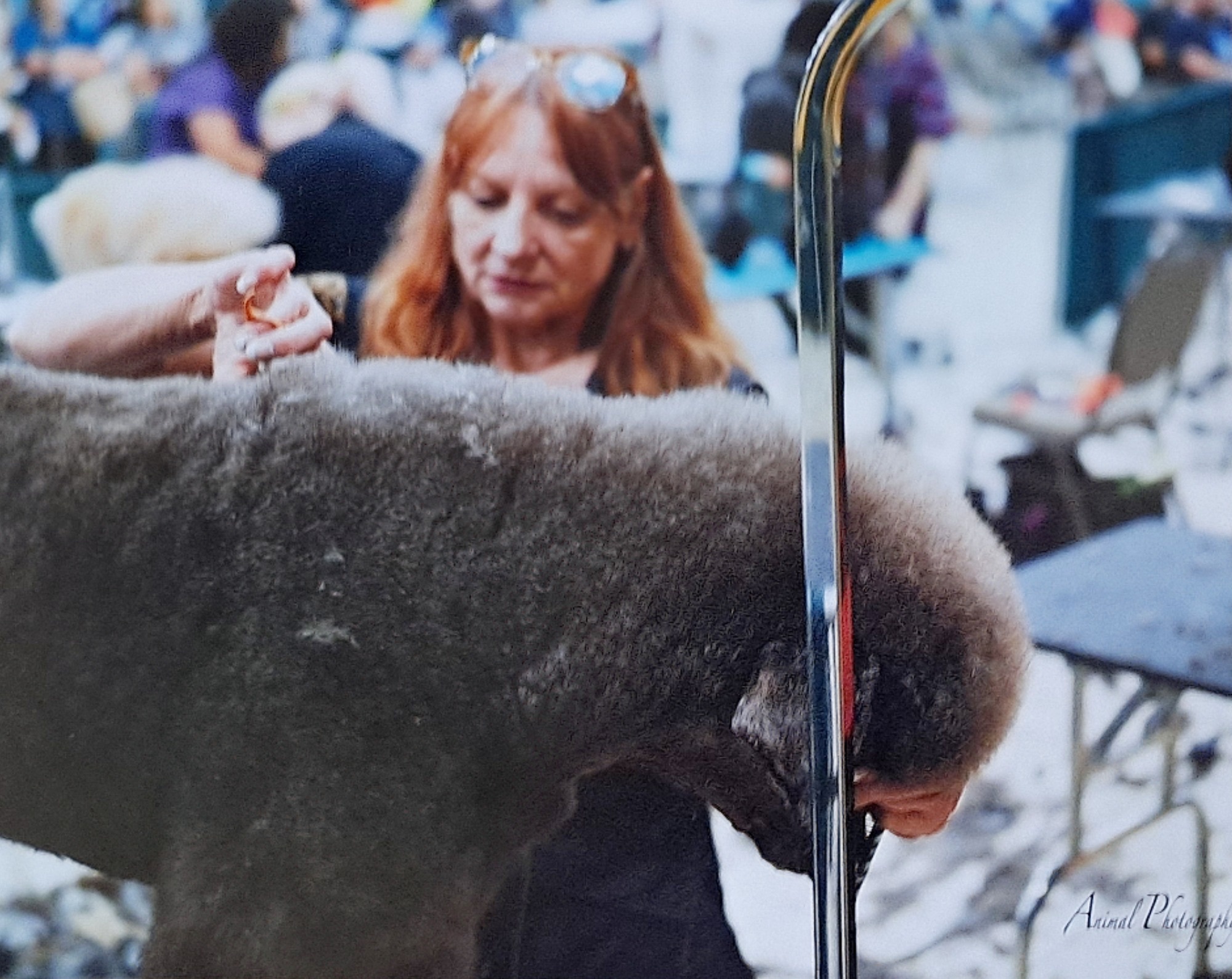 Verona Spa & Wellness Packages