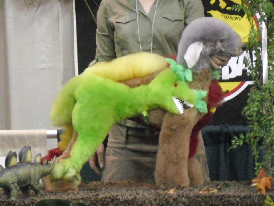 Plum Spa & Wellness Packages