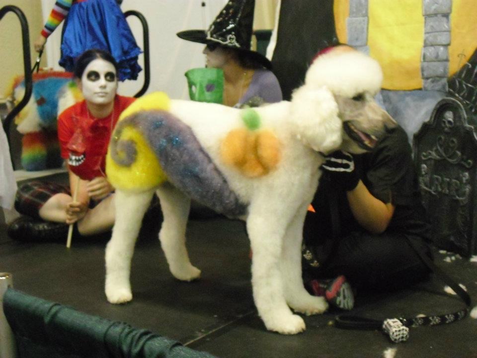 Color, Carving & Stenciling in Verona