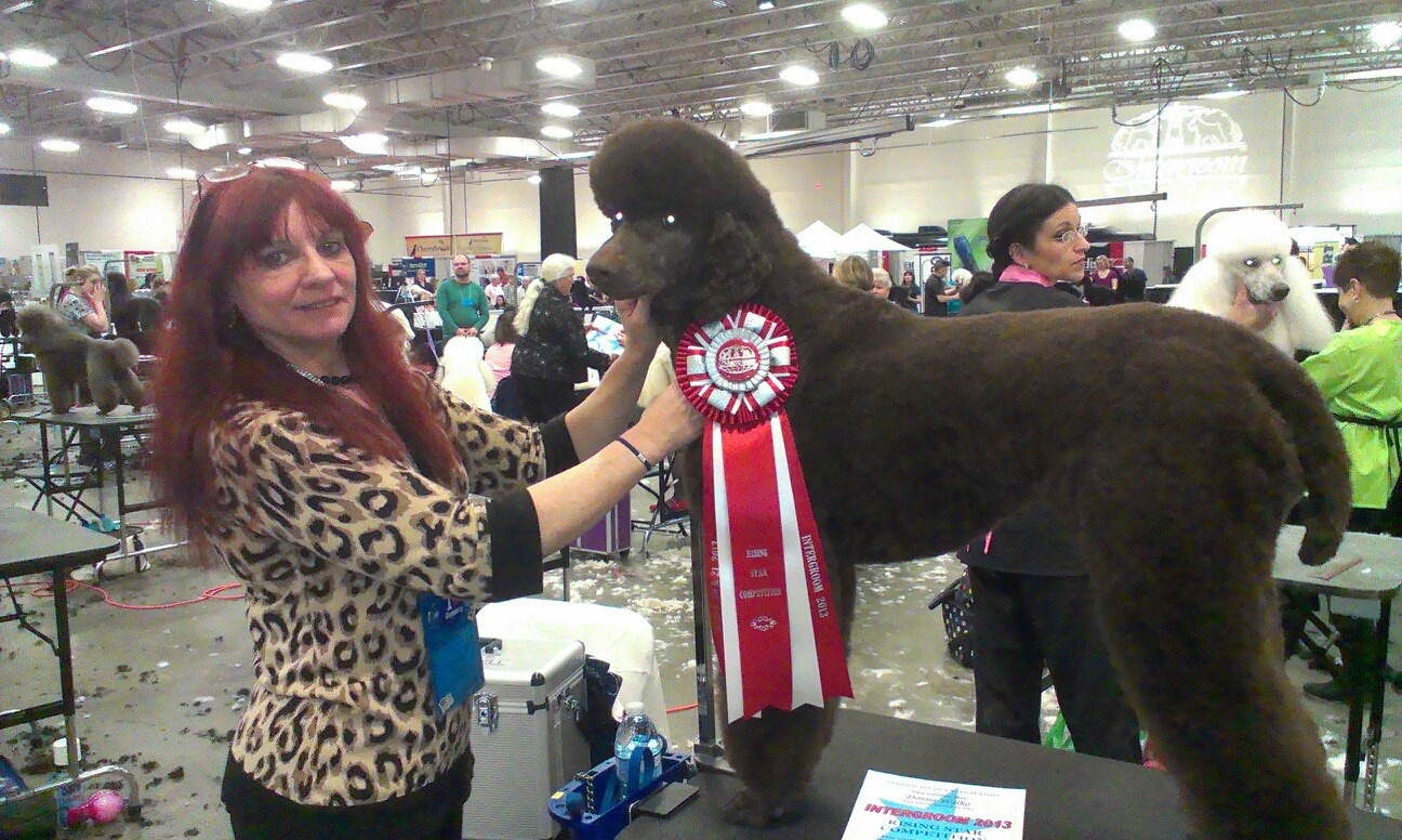  Handstripping & Carding