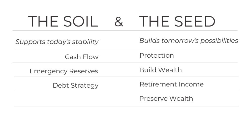 The Soil & The Seed The Soil & The Seed