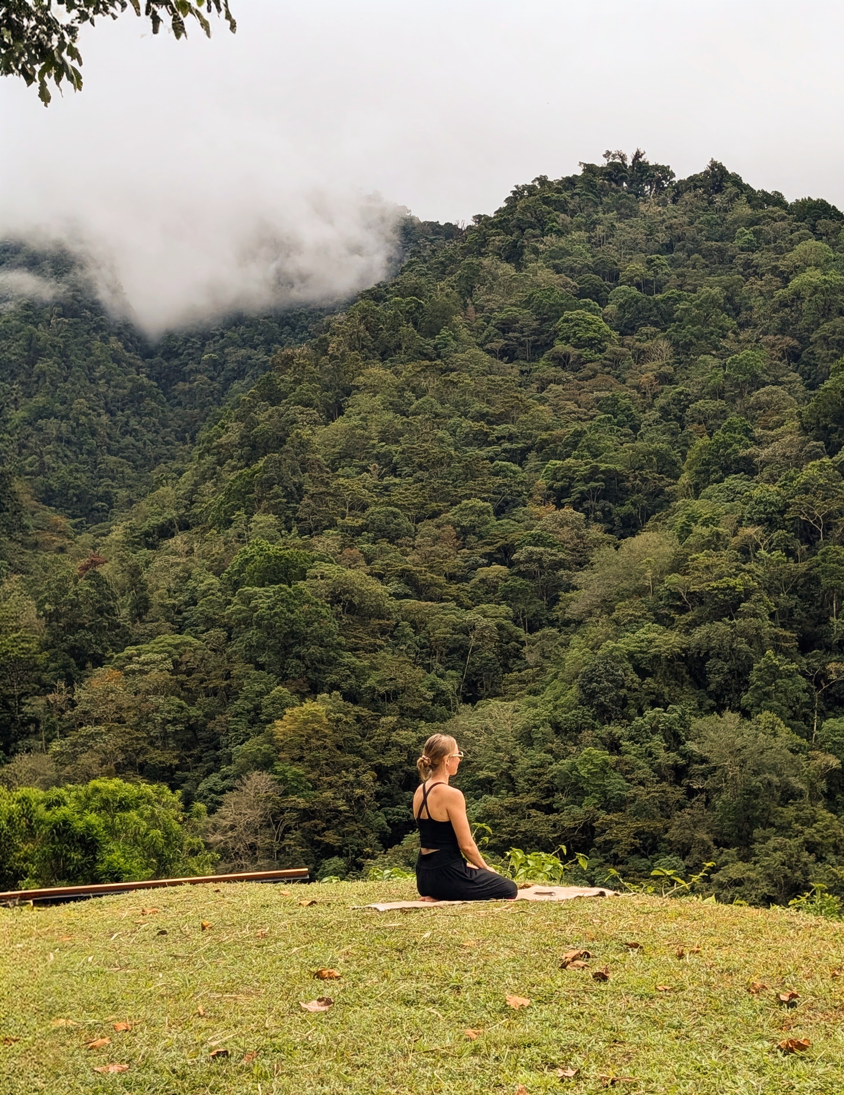 Avery on a hilltop