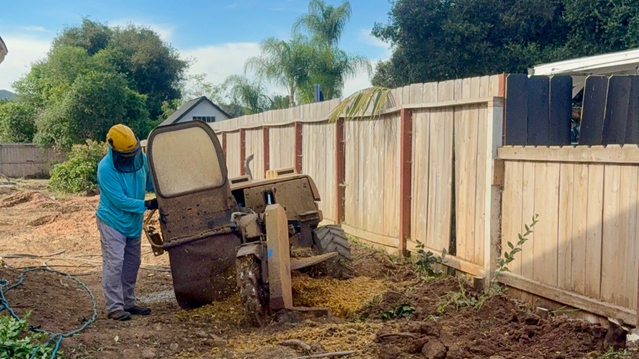 Stump removal in Escondido