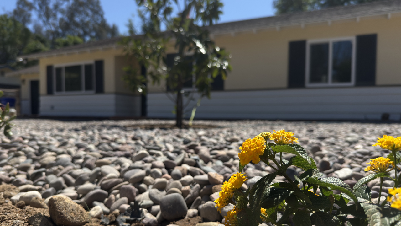 Curb appeal landscape refresh