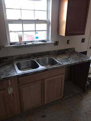 Tree Services in Franklin TN