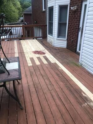 Tree Services in Brentwood TN