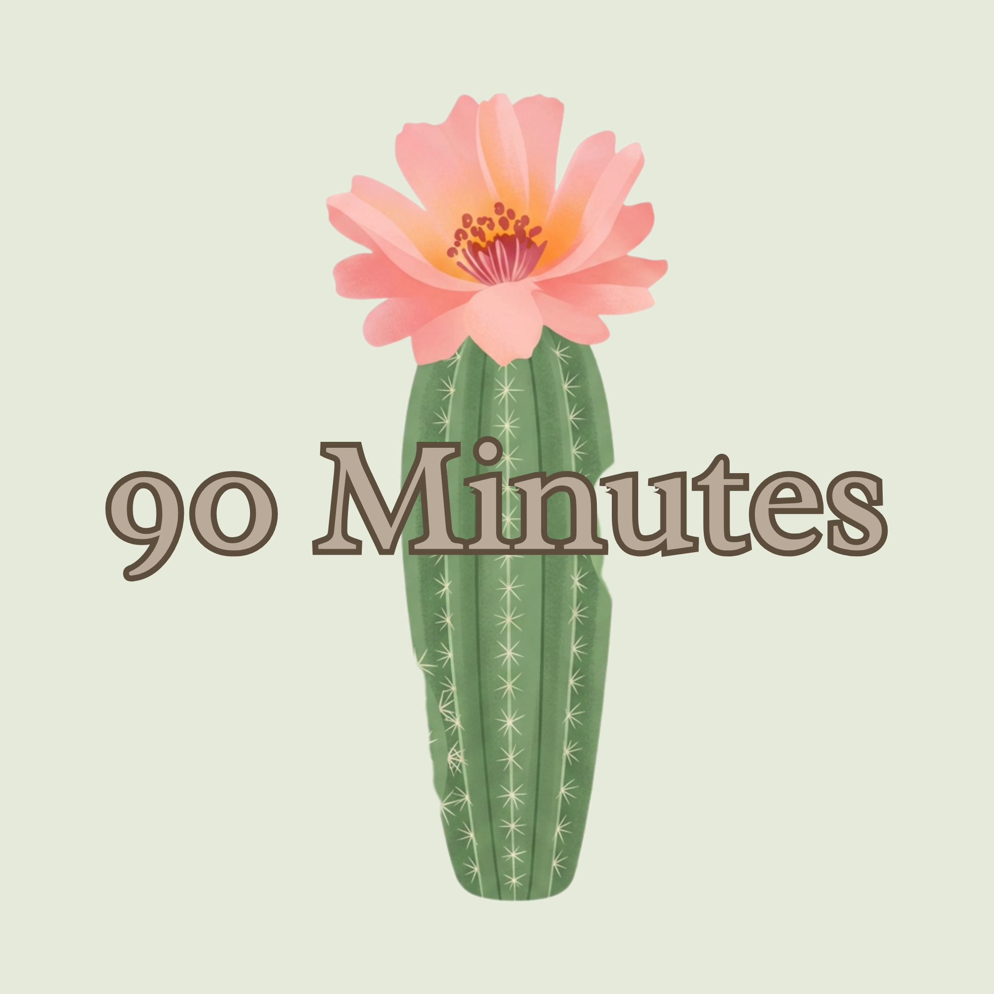 90 Minute Massage Session