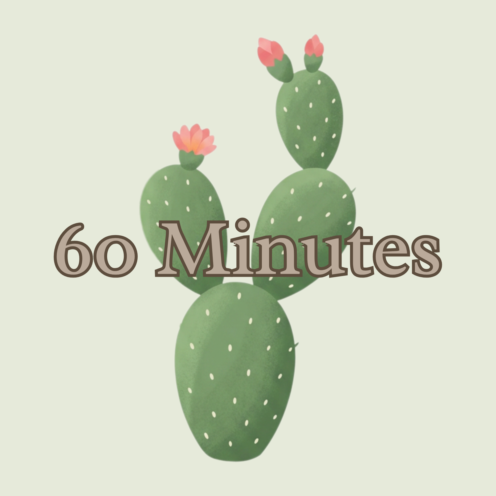 60 Minute Massage Session