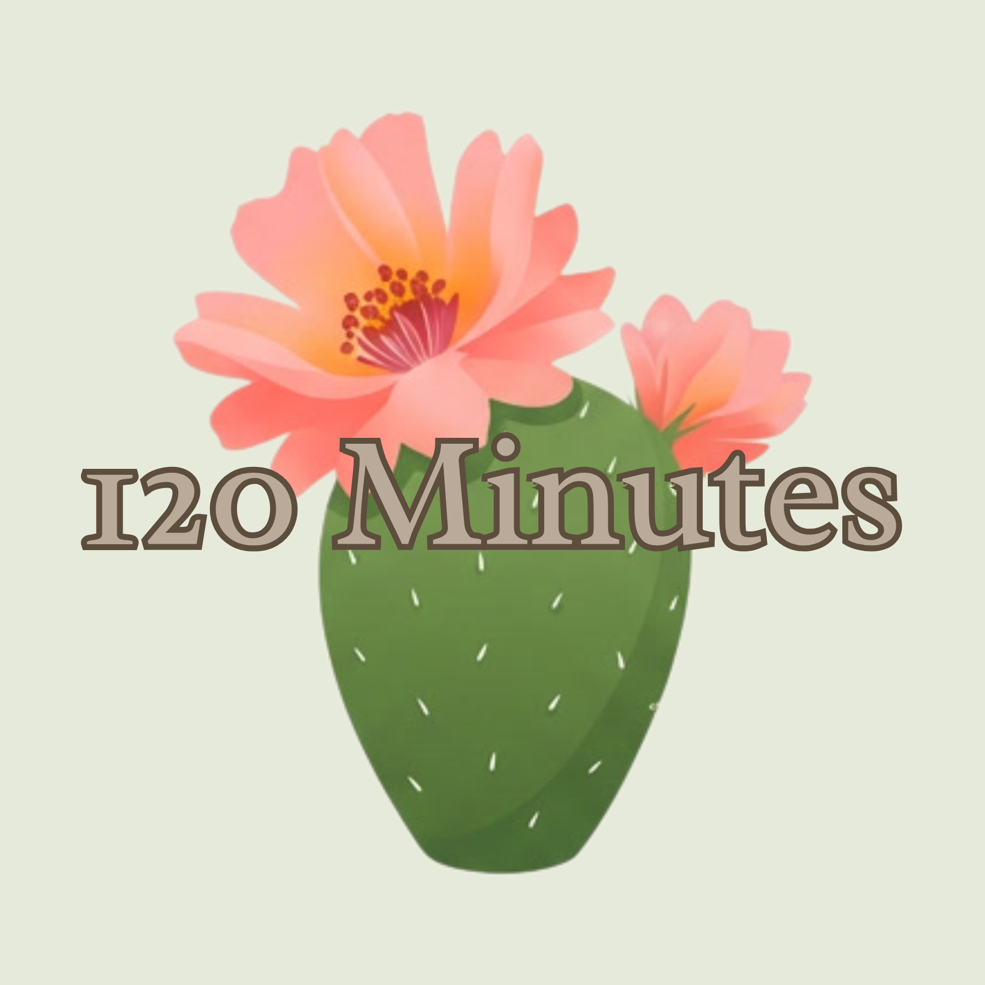 120 Minute Massage Session