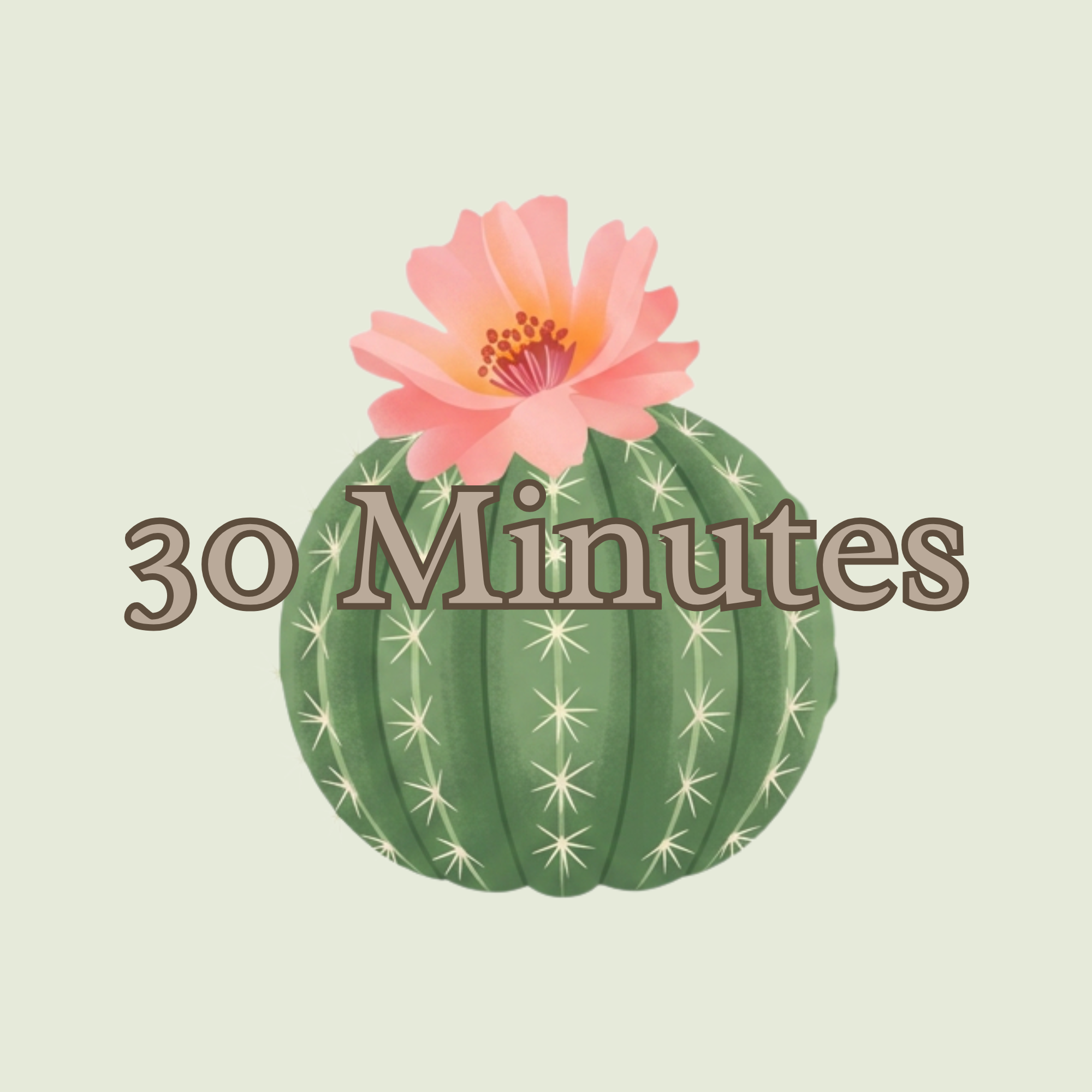 30 Minute Massage Session
