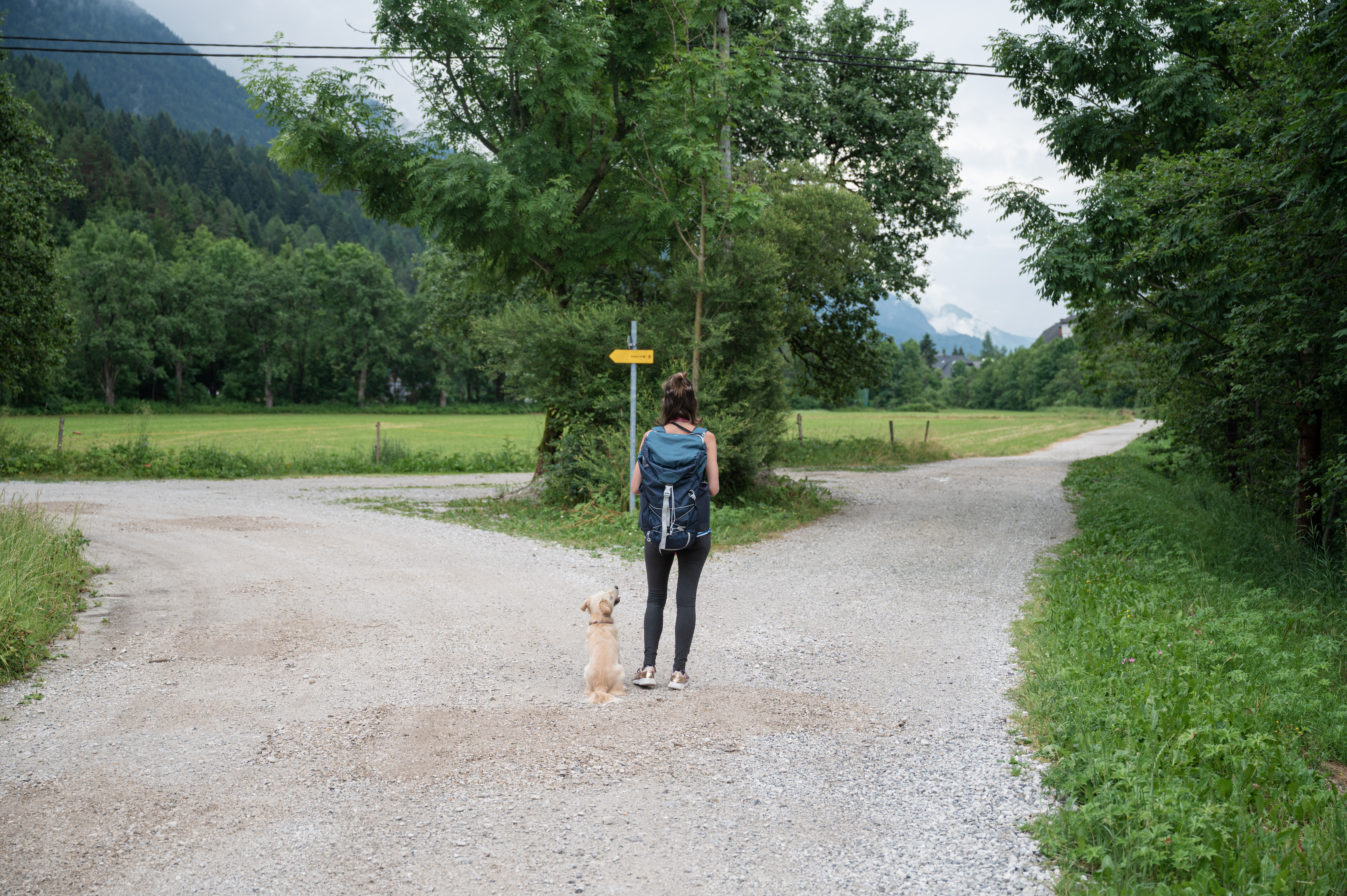 Person standing at a crossroads in nature representing the choice between three states of being and nervous system regulation
