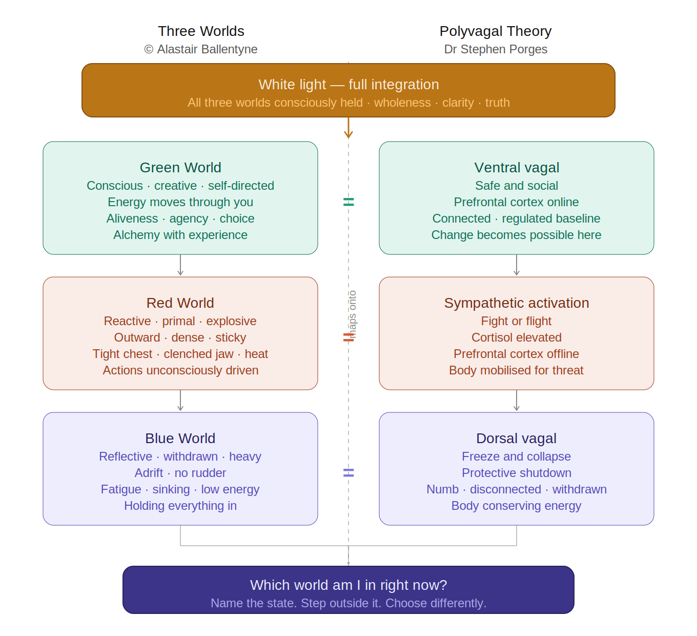 Diagram mapping the Three Worlds framework alongside polyvagal theory nervous system states