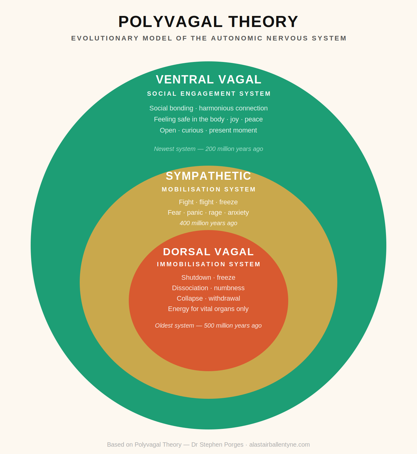 Diagram illustrating the three states of the nervous system according to Polyvagal Theory