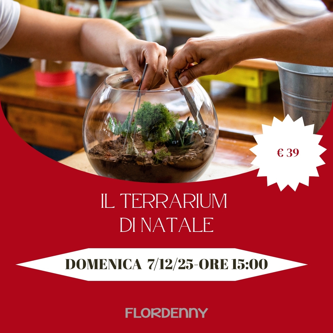 Il terrarium di Natale