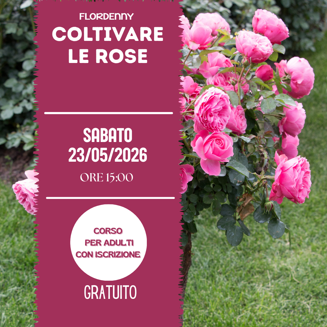 Le salamoie di erbe aromatiche