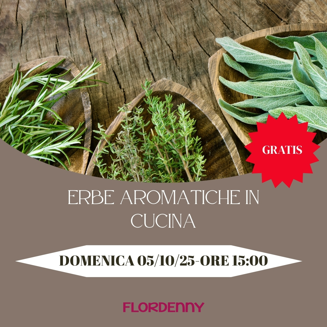 Erbe aromatiche in cucina