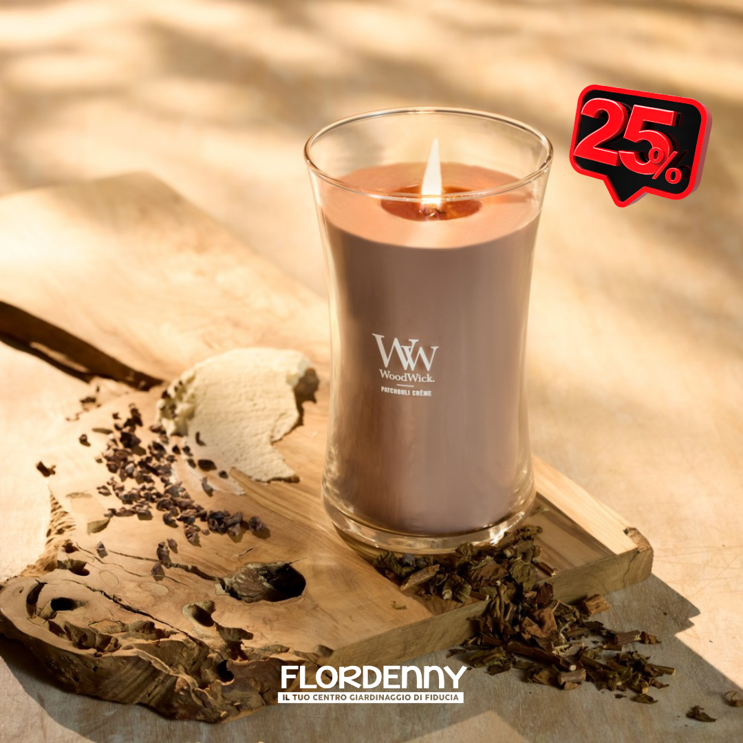 Yankee Candle - Vanilla Cupcake