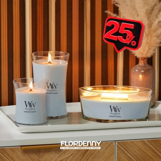 Yankee Candle - Vanilla Cupcake