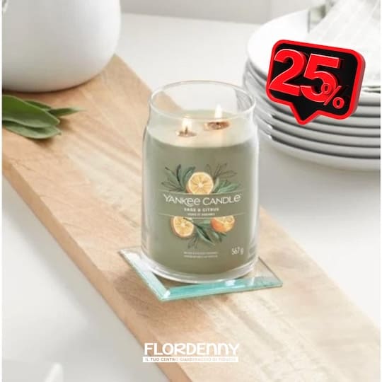 Yankee Candle - Sage & Citrus