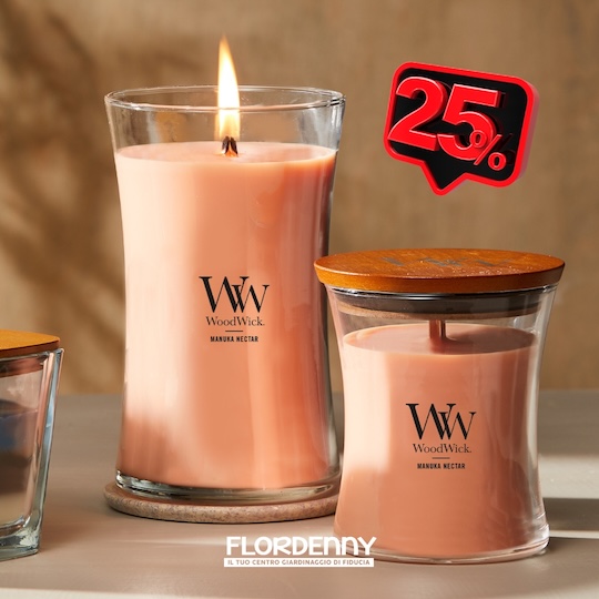 Yankee Candle - Vanilla Cupcake