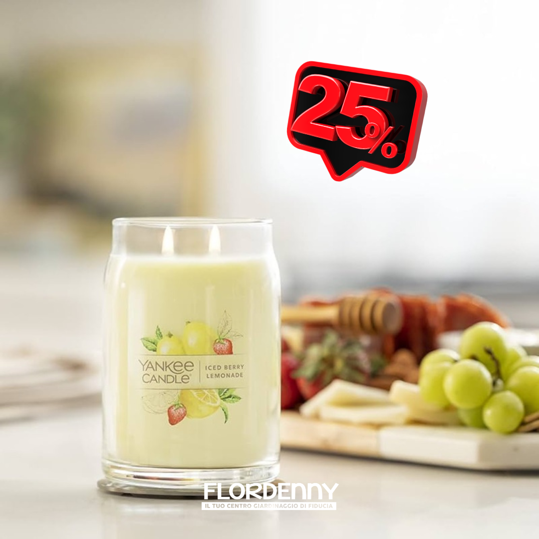 Yankee Candle - Sage & Citrus