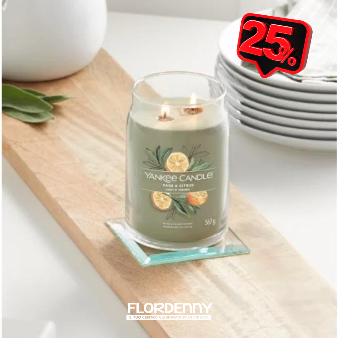 Yankee Candle - Sage & Citrus