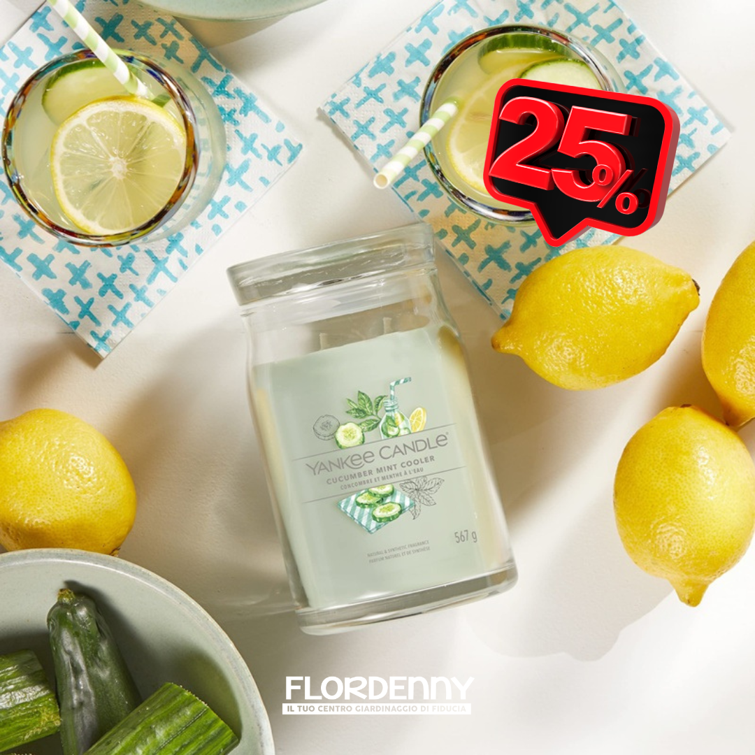 Yankee Candle - Sage & Citrus