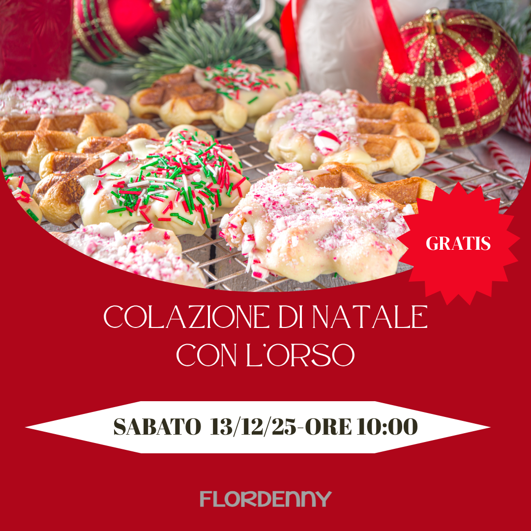Inaugurazione villaggio di Natale