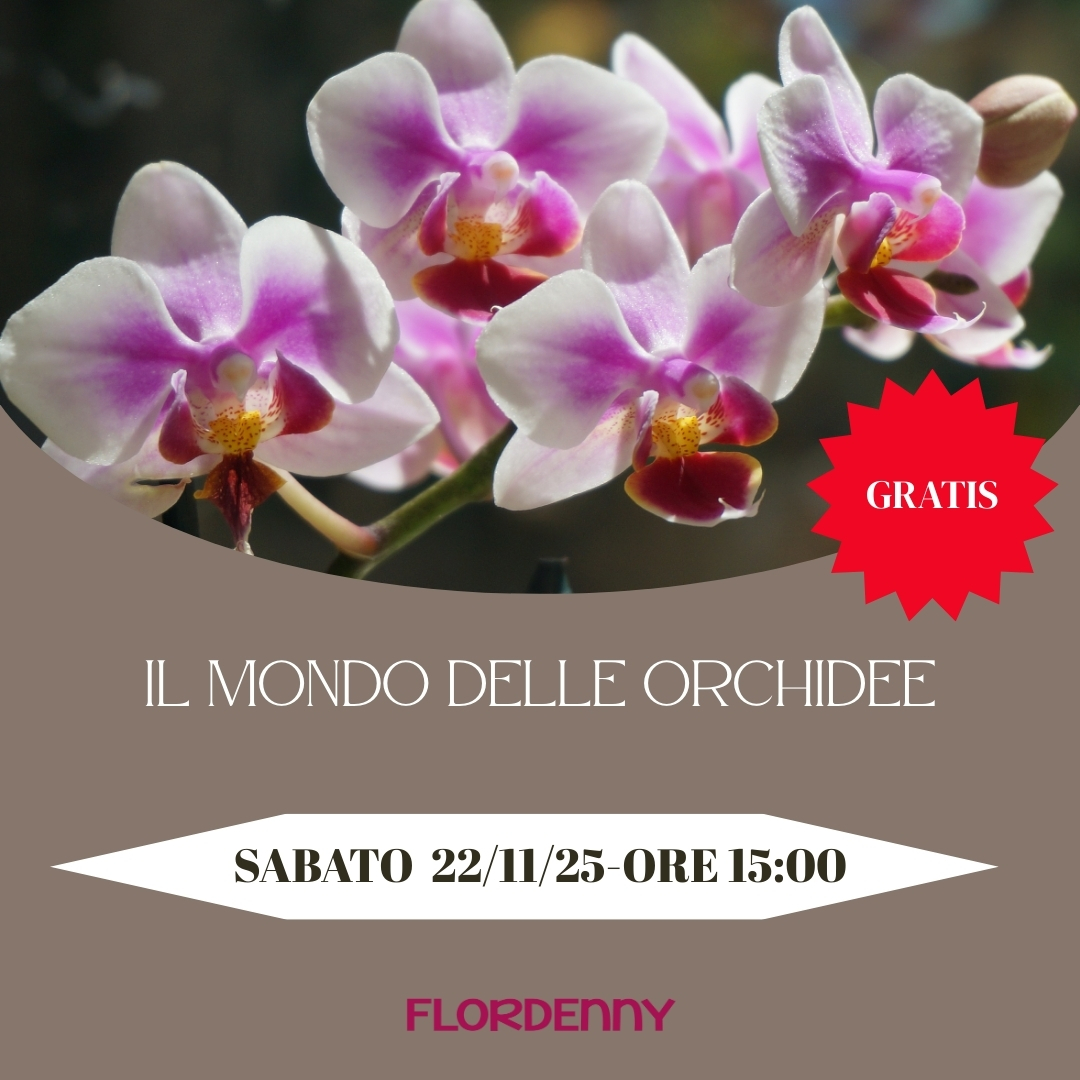 Il mondo delle Orchidee