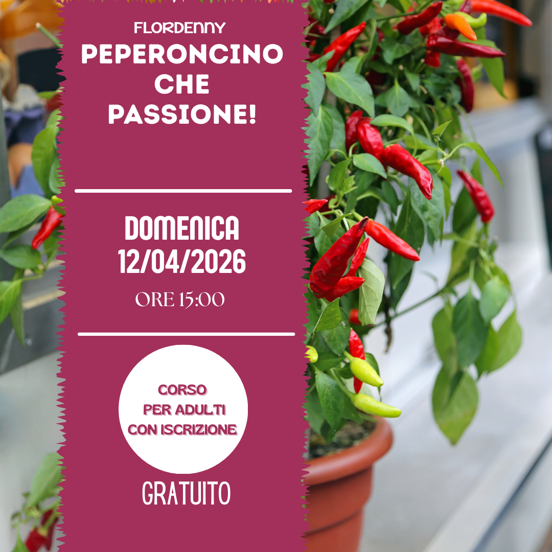 Le salamoie di erbe aromatiche