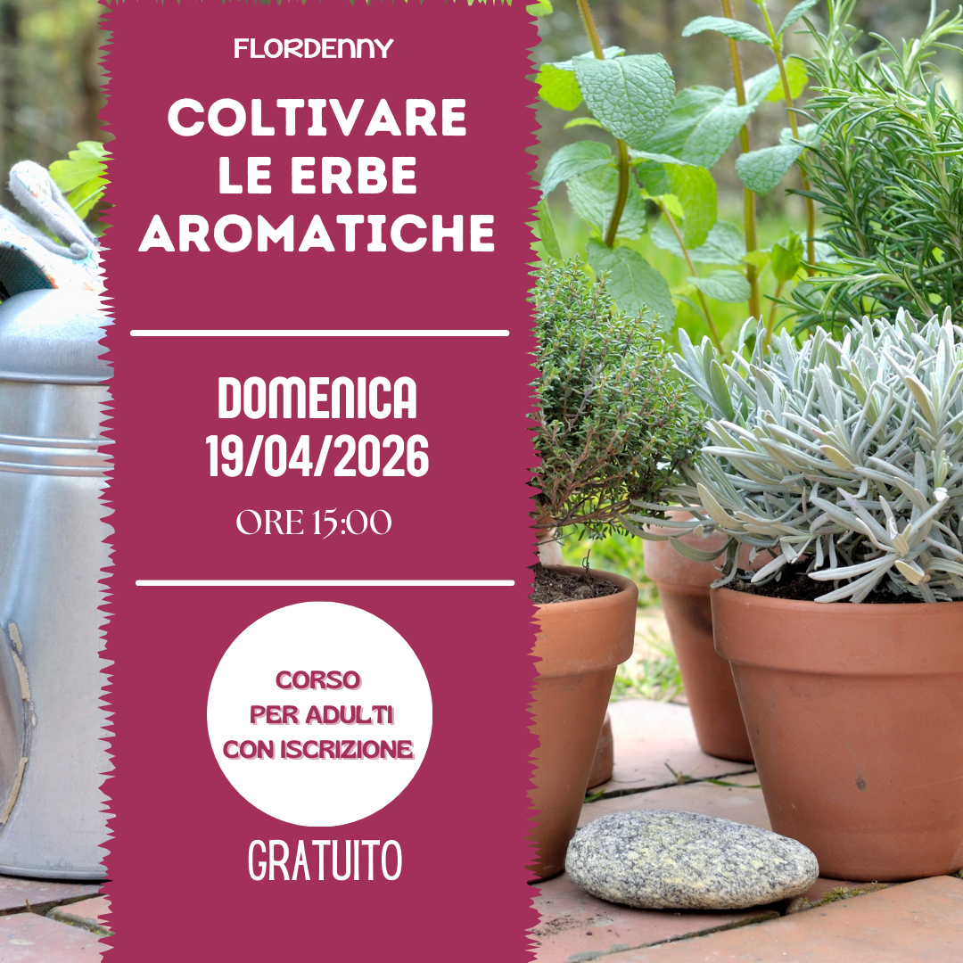 Le salamoie di erbe aromatiche