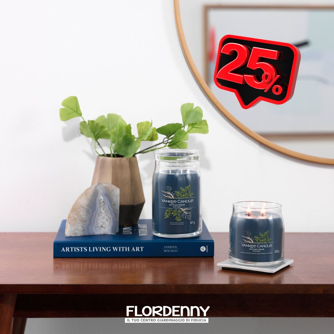 Yankee Candle - Vanilla Cupcake