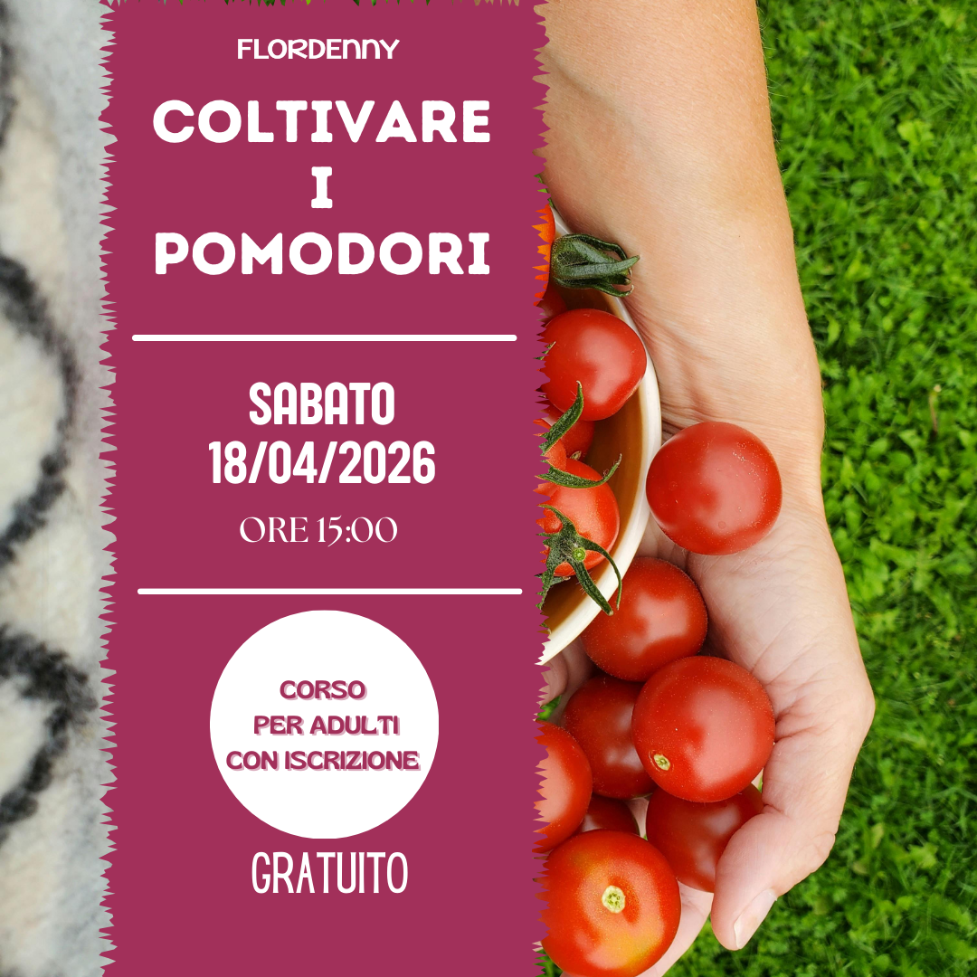 Le salamoie di erbe aromatiche