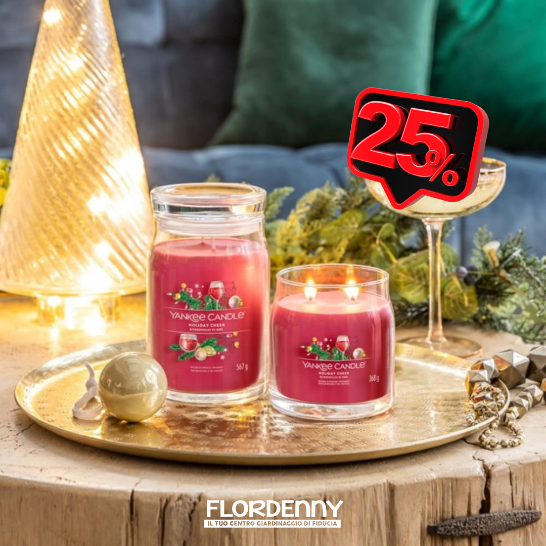 Yankee Candle - Vanilla Cupcake