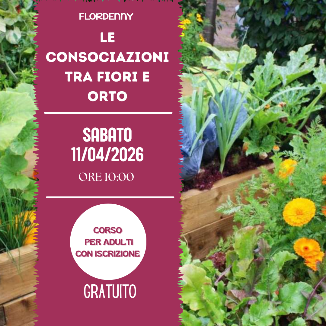 Le salamoie di erbe aromatiche