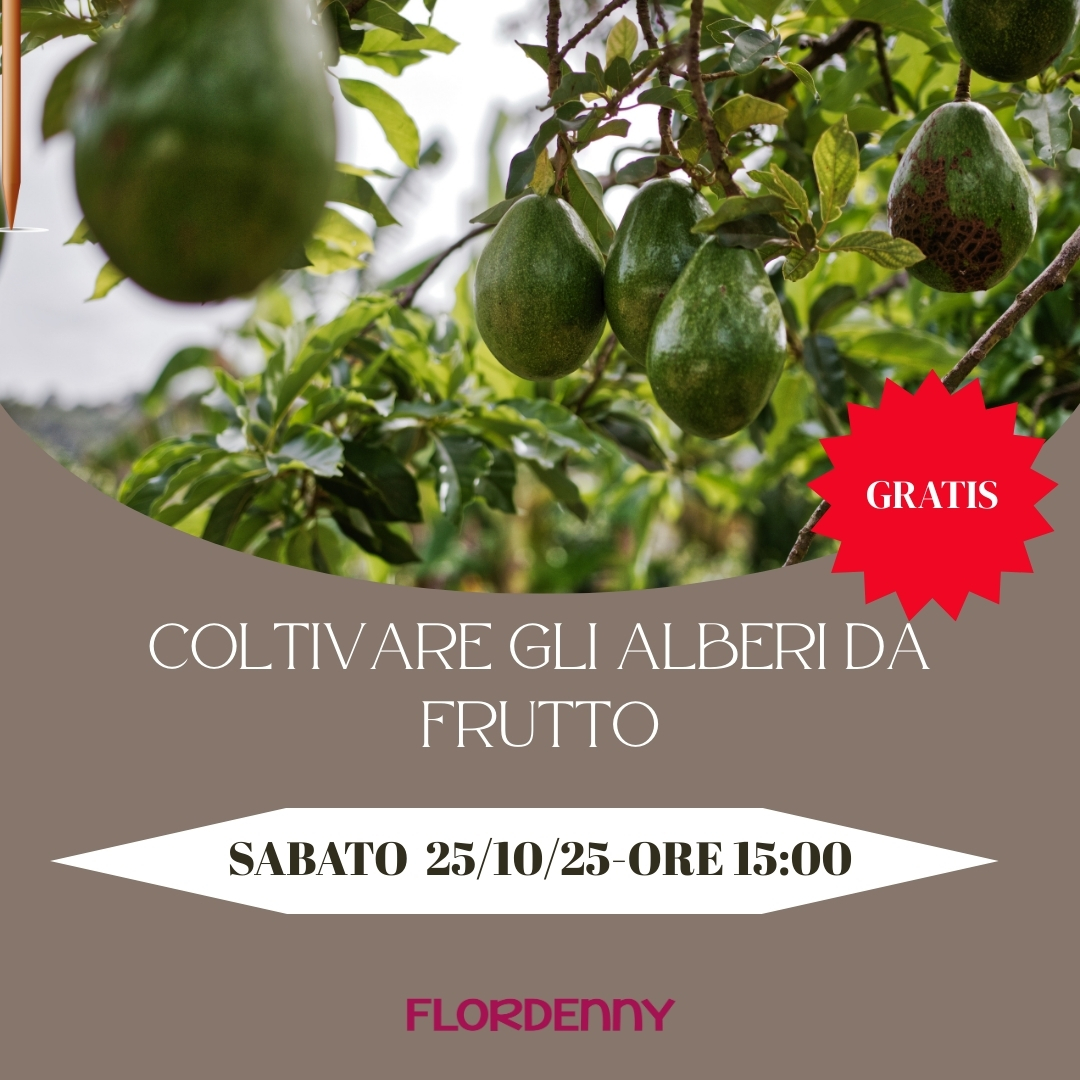 Coltivare gli alberi  da frutto