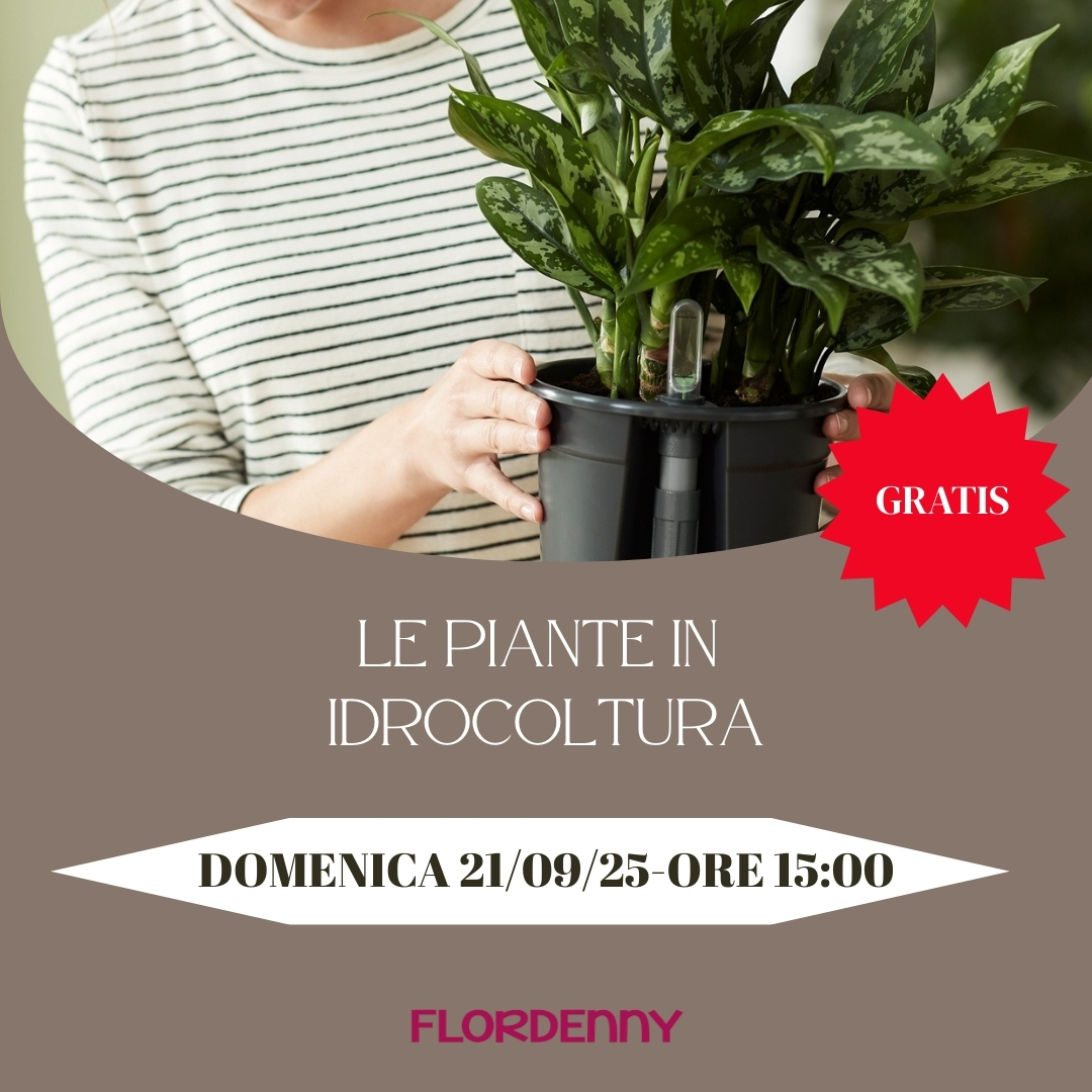 Le piante in idrocoltura