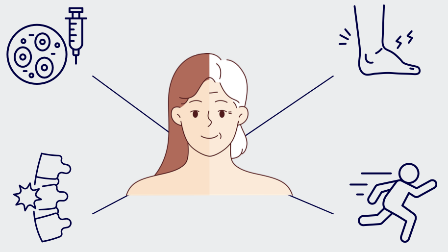 inmune system inmune system