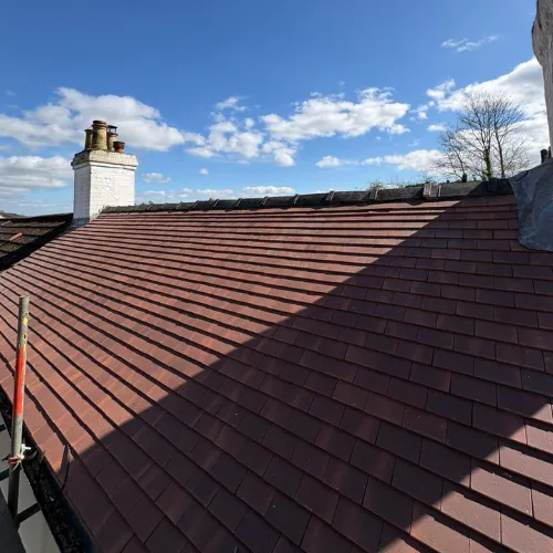 Recent roof project
