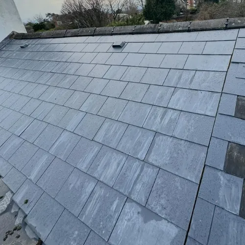 Recent roof project
