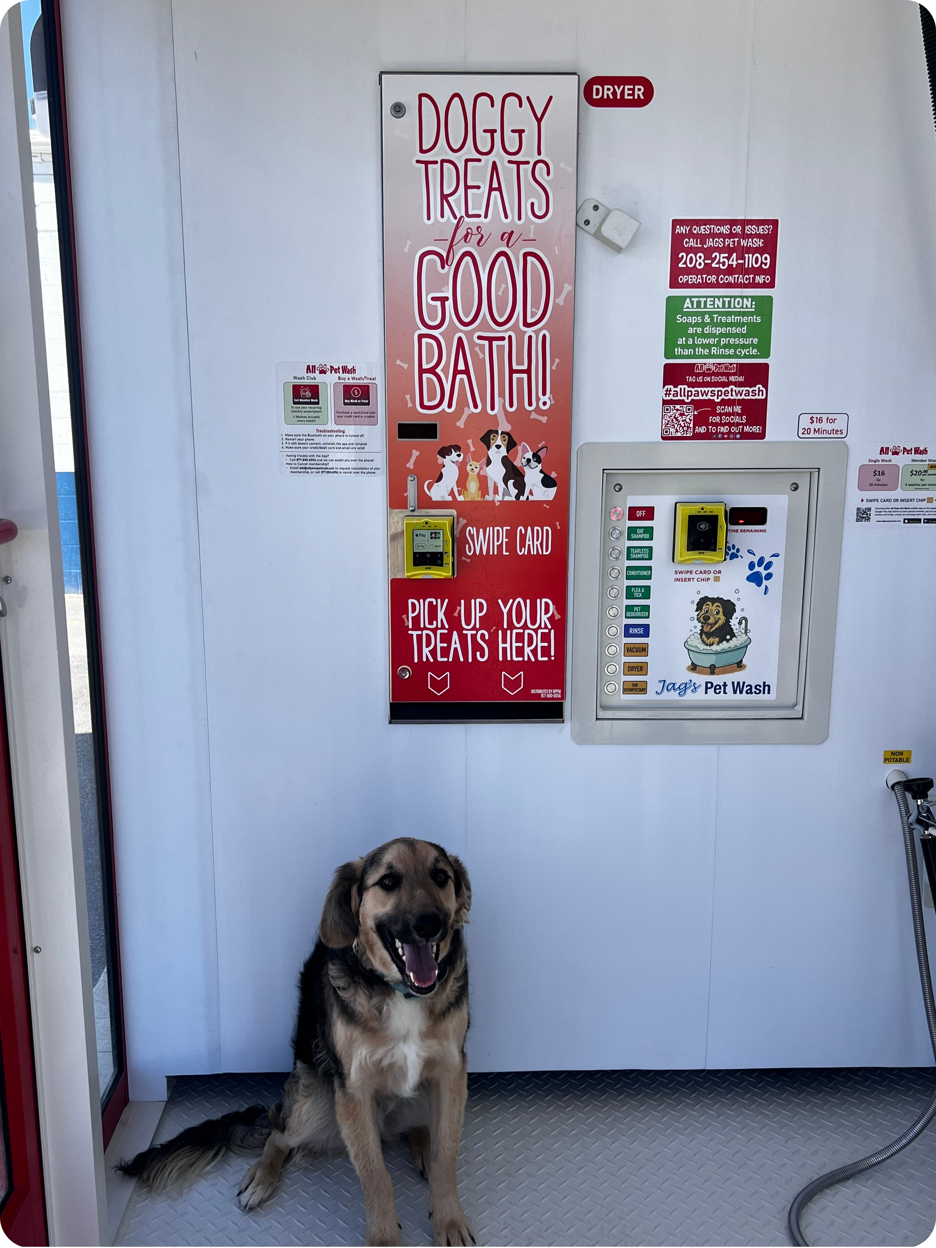 Happy dog sitting inside Jag’s Pet Wash in Pocatello with doggy treats and self-service wash station